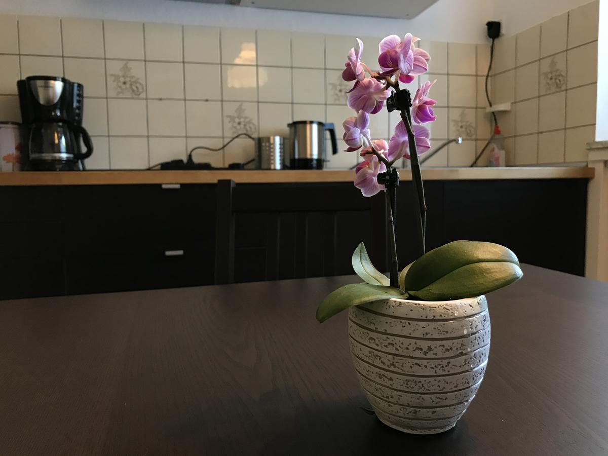 Apartmenthaus Marten